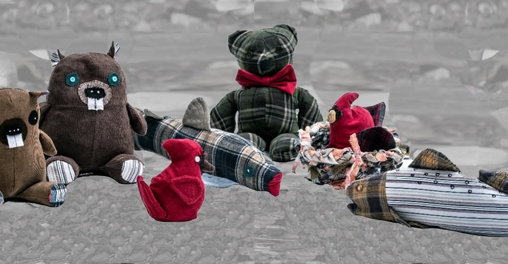 About – Litter Critters